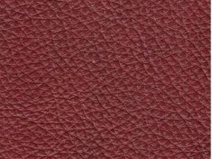 CN 16 (Bordo)
